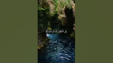 واتس اب قران كريم القارئ ياسر الدوسري (سوره النساء)
