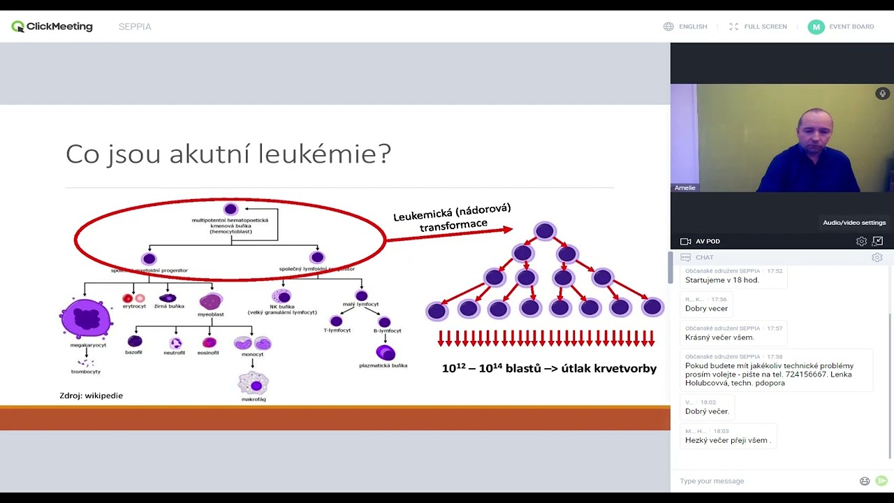 Doc. MUDr. Tomáš Szotkowski, Ph.D. - Akutní leukémie