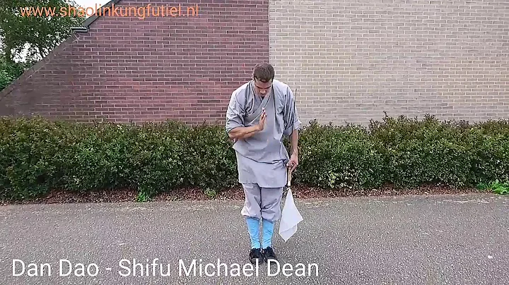 Dan Dao slowmo - Shifu Michael Dean