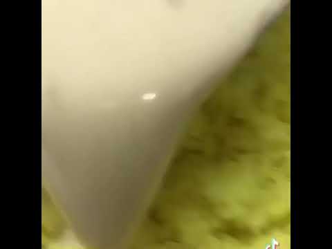 اغنية المنسف الاردني اجبد جميد من مطعم بيت المنسف الاصيل بالبحرين