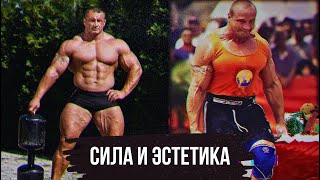 картинка: САМЫЙ ЭСТЕТИЧНЫЙ СИЛАЧ МАРИУШ ПУДЗЯНОВСКИЙ