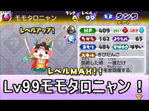 妖怪ウォッチバスターズ 赤猫団 白犬隊 Lv99モモタロニャンget Hp２倍の最強タンク 攻略実況 70 Youtube