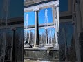 The Lion Cascade Fountain in Peterhof 4K HDR #peterburg #travel #asmr