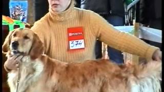 Выставка собак, г. Новосибирск (2005 г.) часть 3
