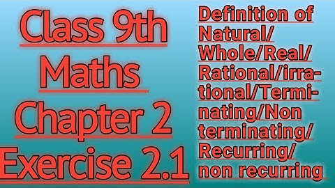 Class 9th Chapter:2 Ex:2.1|Natural/Whole Number |Rational/Irrational|Terminating/Non terminating|PTB