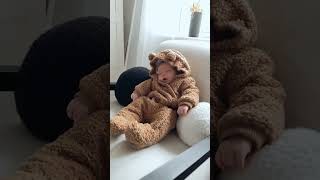 cute baby ? sleeping  #cute #sleep #video #viral #shorts