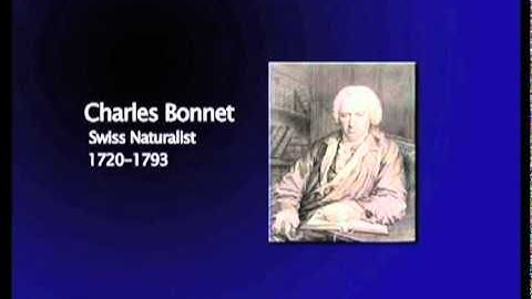 Charles Bonnet Syndrome - The 15 Visual Problems of Macular Degeneration