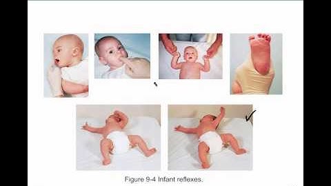 Paramedic Care I Lifespan Development