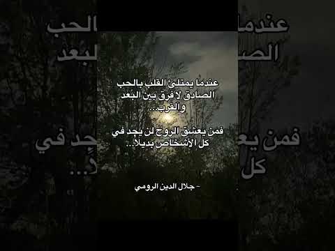 الحب الحقيقي يتجاوز المسافات والأزمة خيمياء الوعي