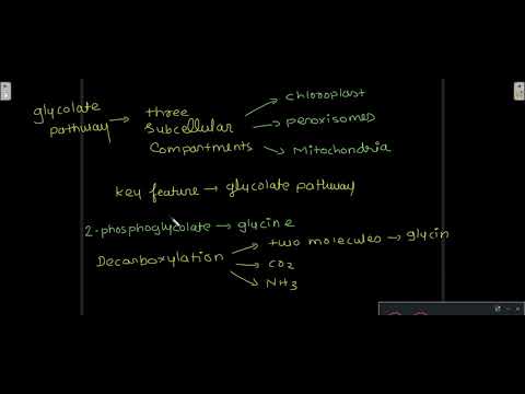 Photorespiration, Warburg Effect, Effect Of Temperature , Rubisco Enzyme