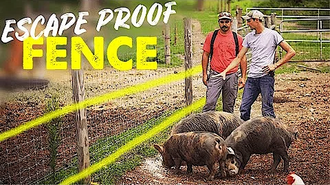 EXPERT SHARES FENCING DESIGN THAT KEEPS EVERY. ANIMAL. IN. (even goats)