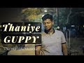 Thaniye  guppy  kun faya kun  cover 2018  karthik krishnan 