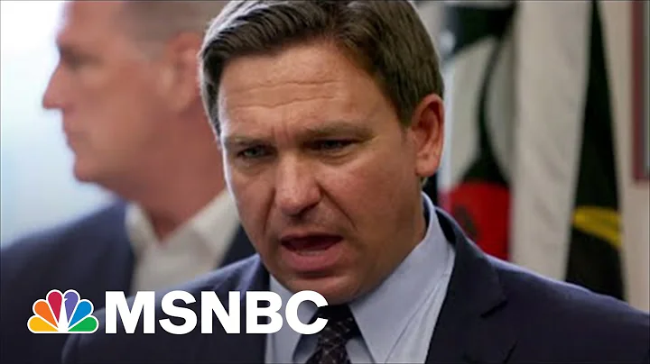 Elise Jordan: DeSantis' Migrant Flights Are Just '...