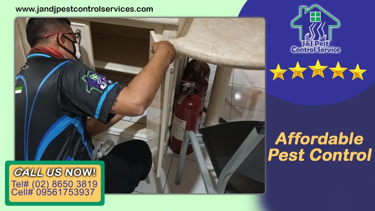 Affordable Pest Control Quezon City MM Call ☎️ (02) 8650 3819 YouTube