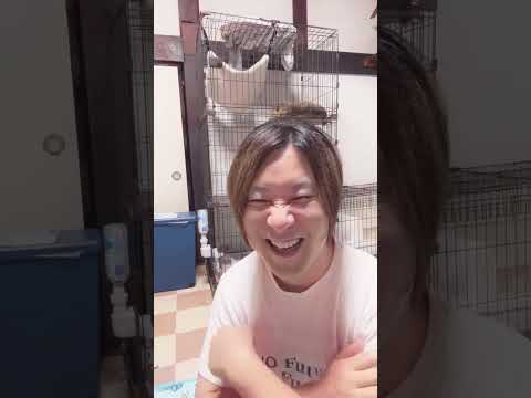 ぷにっとチャンネル がライブ配信中!