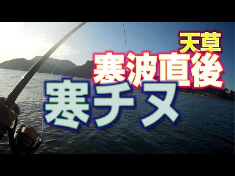 寒チヌに大苦戦！寒波直後の天草・黒鯛フカセ釣り｜Fukase fishing