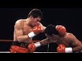 Julio Cesar Chavez vs Edwin Rosario (Highlights)