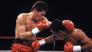 Julio Cesar Chavez vs Edwin Rosario (Highlights)