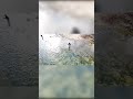 👀 IN THE SKY! #flyfishing #trout #drone