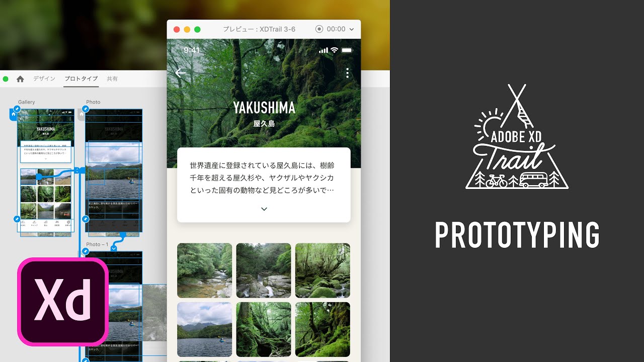 プロトタイプのアニメーション化 1 3 フェードイン アウト Adobe Xd Trail