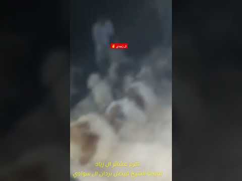 كرم عشيرة الدباس عشائر ال عصيدة فاتحة الشيخ فيصل بردان ال سوادي