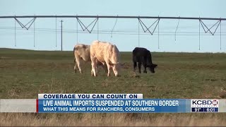 New World screwworm forces suspension of live animal imports through ports of entry along souther...