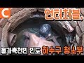 세계 최악의 직업. 닿아서도 안되는 카스트제도 최하층 계급, 인도 천민 '달리트'가 하는 일 '하수구 청소부'ㅣ해외 극한직업