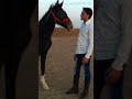 قطارالعمر قف مهلا