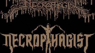 necrophagist - mutilate the stillborn