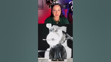 This humanoid factory is WILD 😱