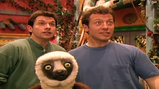 Zoboomafoo 101 - The Nose Knows | HD | Full Episode