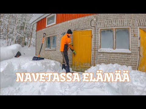 Video: Kurkistus Niihaun sisälle: Havaijin 