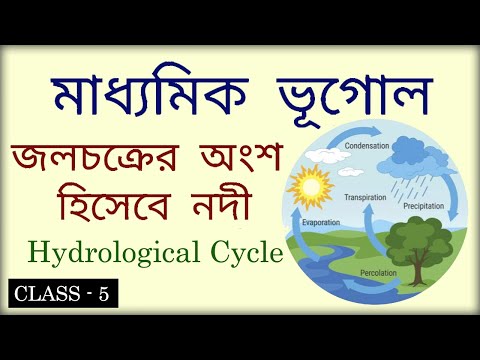 ভিডিও: জলচক্রকে কী বলা হয়?