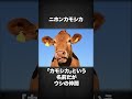 日本固有の動物たち #雑学 #動物雑学 #動物豆知識 #野生動物