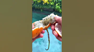 #маракуйя #экзотическиефрукты