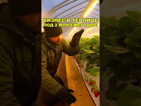 СЛЫШАЛИ ПРО БИЗНЕС В ТЕПЛИЦЕ КРУГЛЫЙ ГОД!? Бизнес идеи! Бизнес 2026!