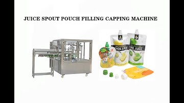 6 heads Spout pouch filling and capping machine | spouted pouch filling machine