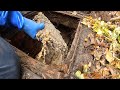 Root Infiltrated Manhole and Tricky Clean Up Scooping Sewage - Monster Drain Unblock