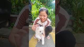 ACC - Puppy Snatching 🐱‍🏍🐶. #friends #dog #love #shorts