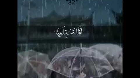 من سورة الأنعام | القارئ شريف مصطفى