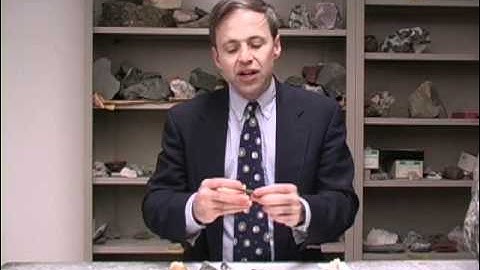 Planet Earth-Lab 10-Mesozoic-Cenozoic Fossils