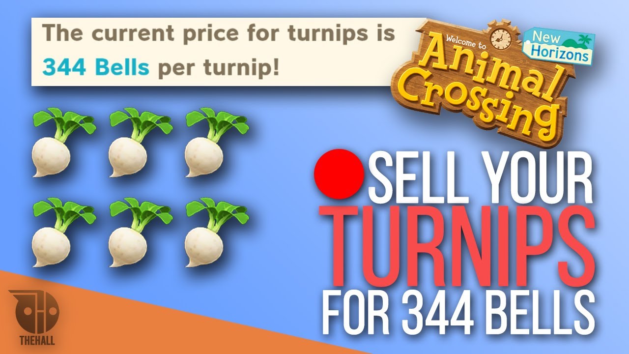 TURNIPS DAY & SOME GIVEAWAY - 344 BELLS TURNIP - ANIMAL CROSSING NEW