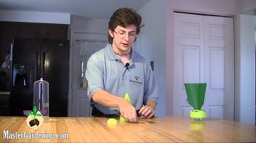 Rescue! Stink Bug Trap