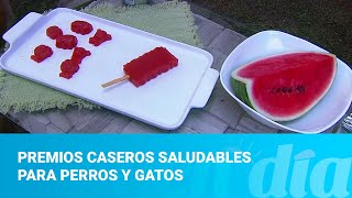 Premios caseros saludables para perros y gatos