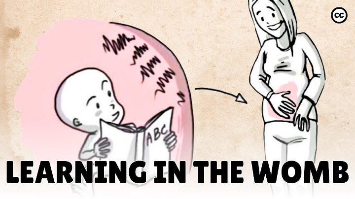 Prenatal Development: What Babies Learn in the Womb