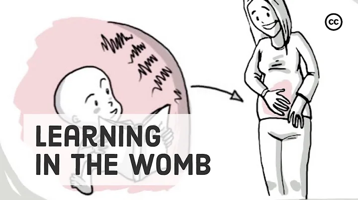 Prenatal Development: What Babies Learn in the Womb - DayDayNews