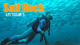 Scuba : Sail rock เกาะเต่า อาณาจักรปลาที่เยอะโครตๆ