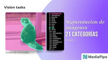 ¿Cómo segmentar distintos objetos en una imagen?  MediaPipe - DeepLab v3 - Python 🎨