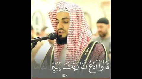 قَالُوا ادْعُ لَنَا رَبَّكَ يُبَيِّن لَّنَا مَا لَوْنُهَا| سورة البقرة