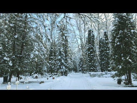 Video: Vostrjakovskoe Kalmistu Ja Kuulsuste Hauad